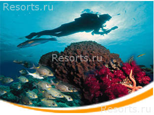 Amphoras Holiday Resort 37